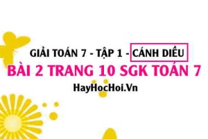 Giải bài 2 trang 10 Toán 7 Tập 1 SGK Cánh Diều